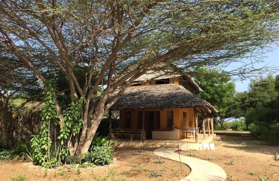 Mangrove House-1