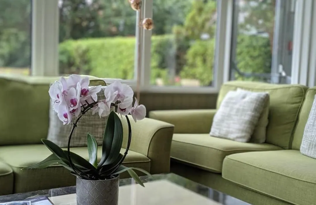 Ormonde House Hotel-1