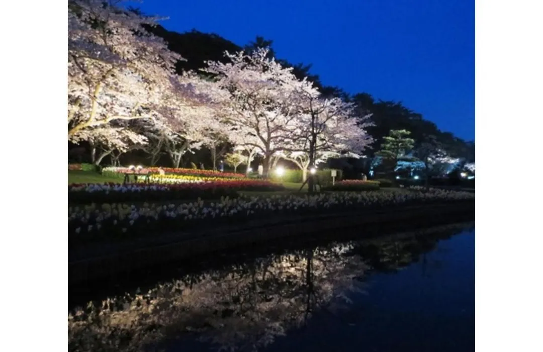 Kanzanji Sago Royal Hotel - Vacation Stay 43399V-1