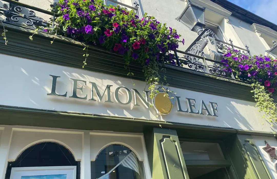 The Lemon Leaf Café Bar&Townhouse-1