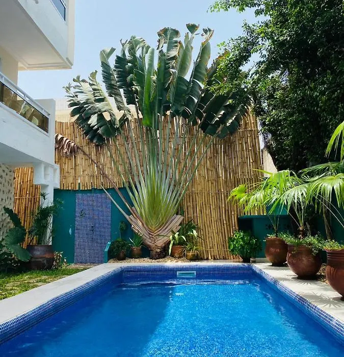 L'Oasis Guesthouse-1