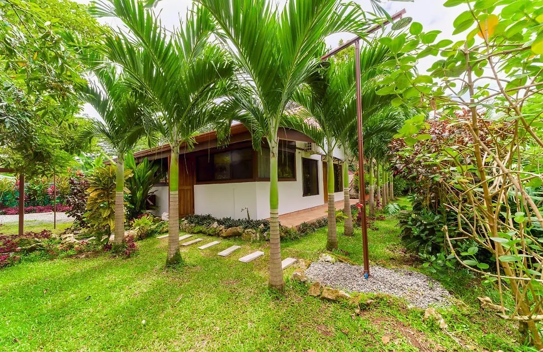 Casa Blossom - Beach Paradise Retreat, Fully Equipped, Holiday Home-1