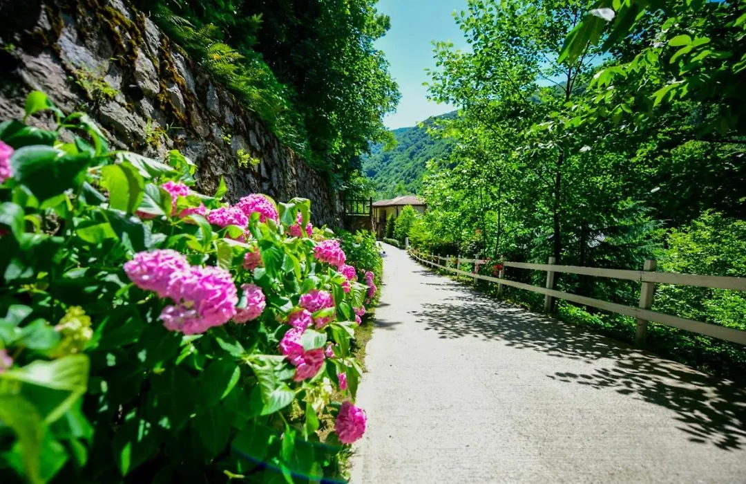 Naturkoy Sapanca-1