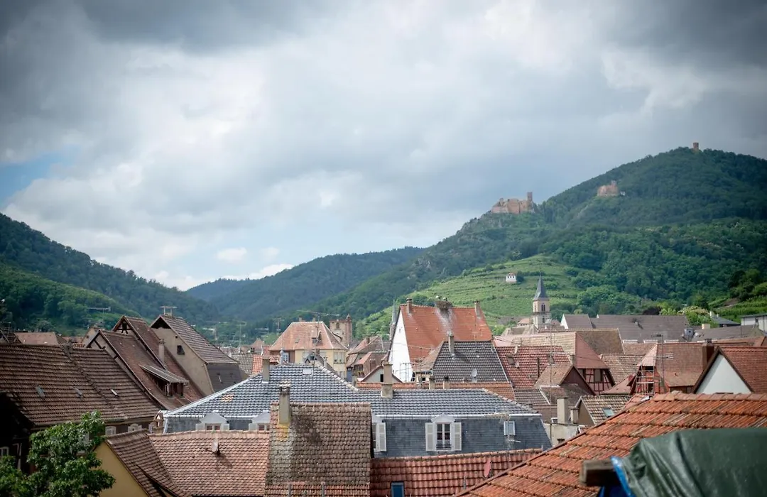 L' Hotel & Spa Ribeauville-Proche Colmar & Haut Koenigsbourg-1