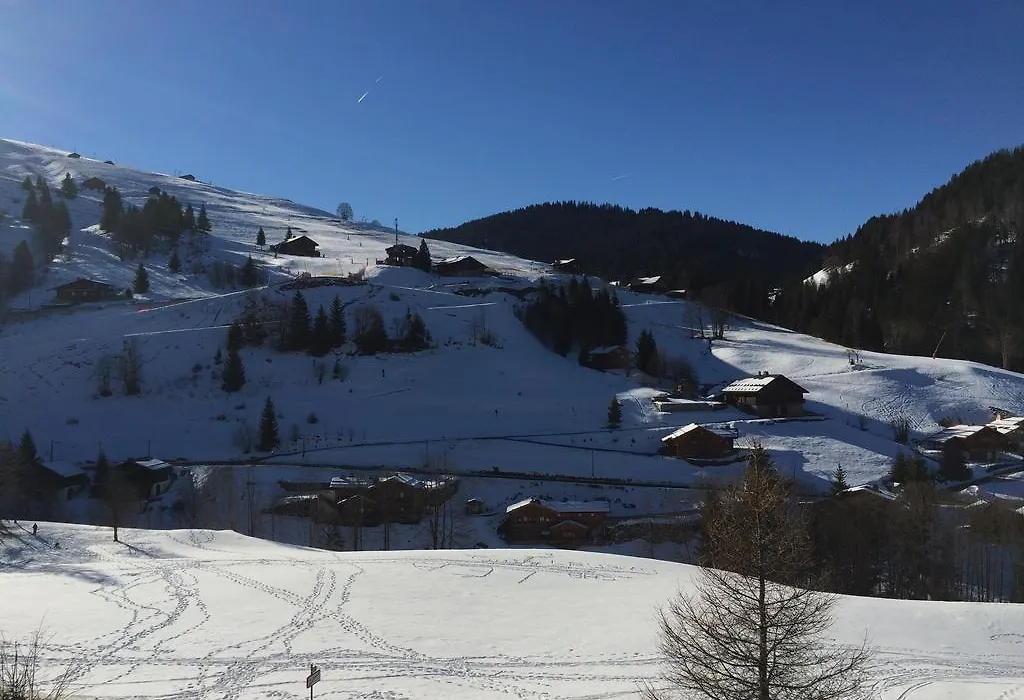 Chalet-Hotel Du Borderan-1
