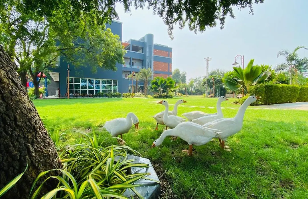 Krishna Riverside Resort-1