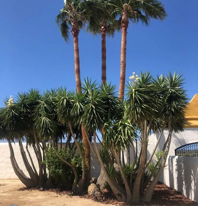 Hacienda Soto-Hego Haizea-1