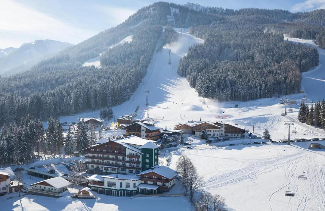 Hotel Waldfrieden-1