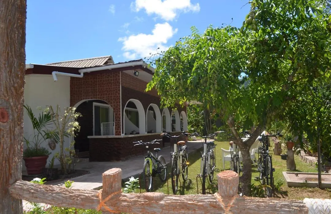 Rising Sun Guesthouse-1