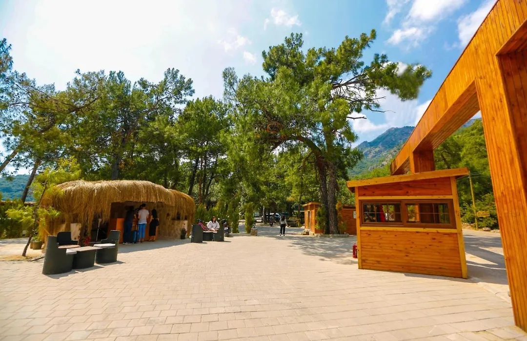 Green Pine Bungalows & Beach Luxury Concept-1