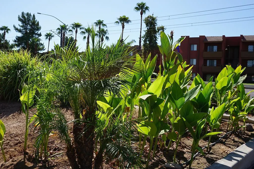 Mesa Oasis Inn & Motel-1