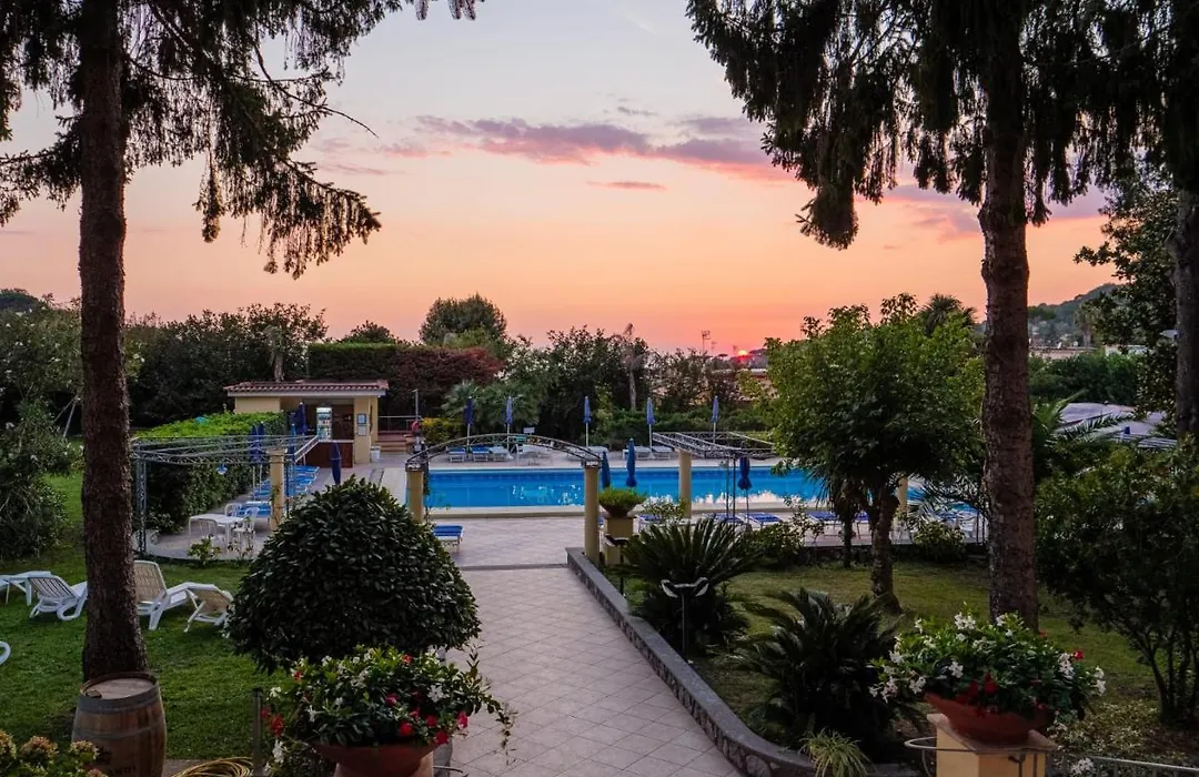 Hotel Delle Palme-1