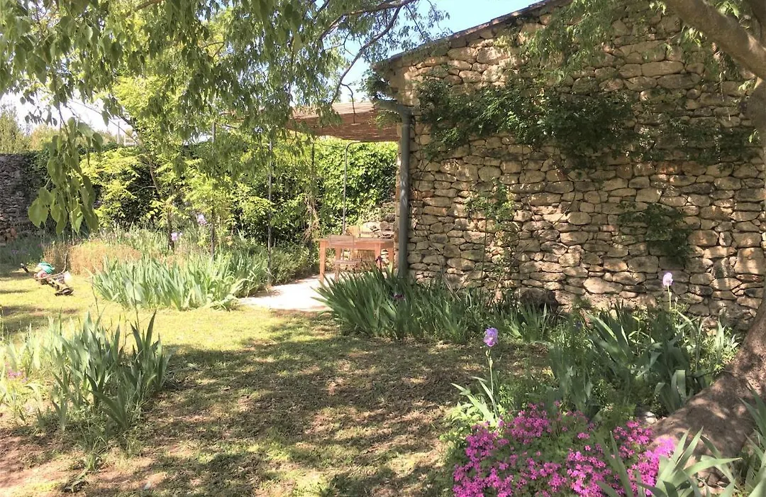 Les Olivettes le mazet-1