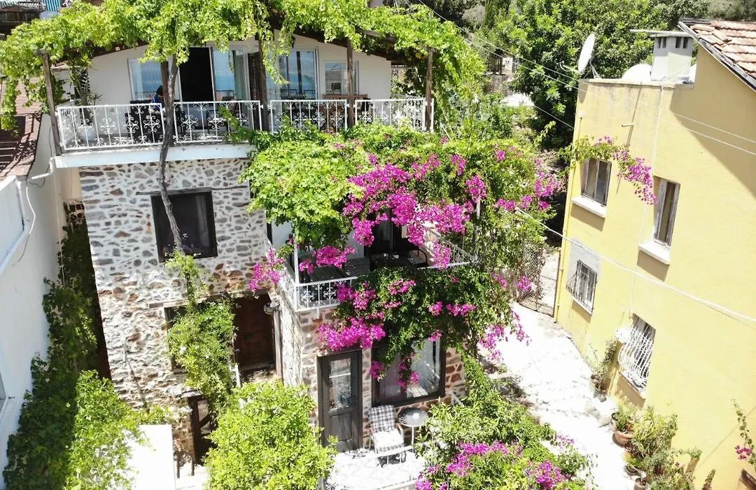 Lemon Villa Hotel (Adults Only)-1