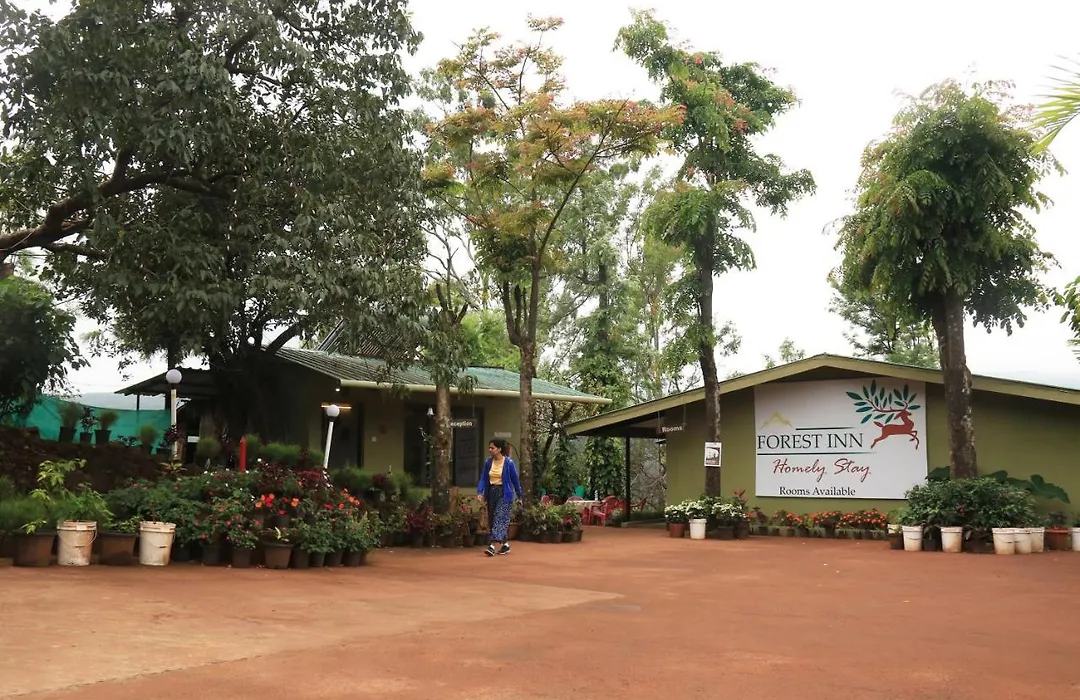 Forest Inn-1