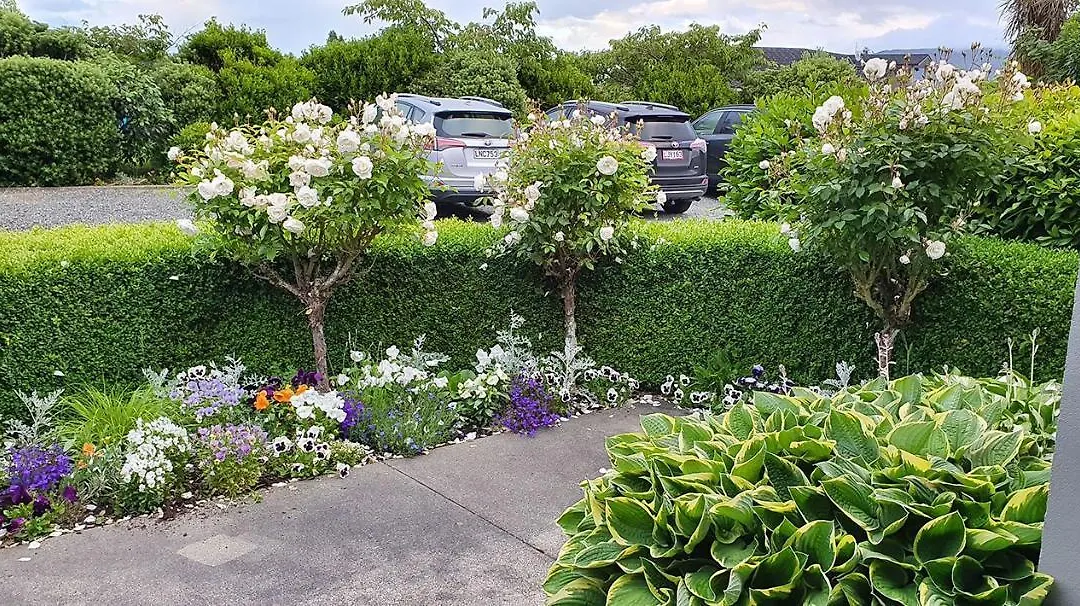 Dunluce Boutique B&B-1