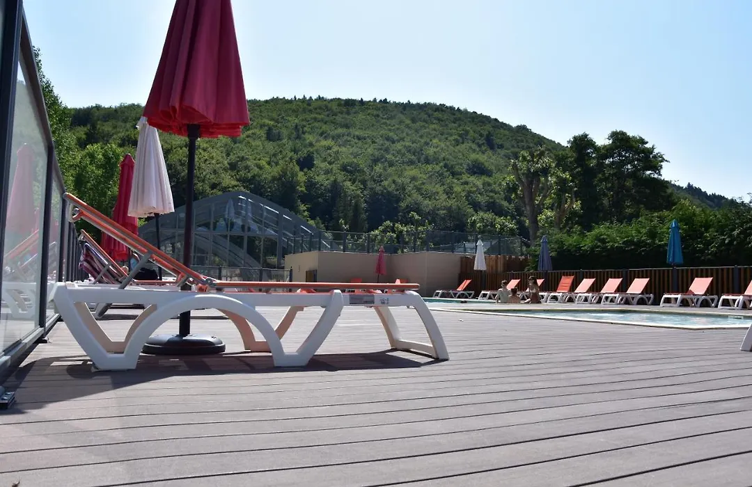Hôtel Domaine du Lac Chambon-1