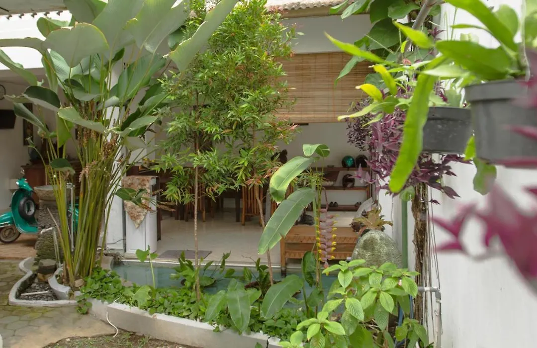 Mi Casa Es Tu Casa House-1