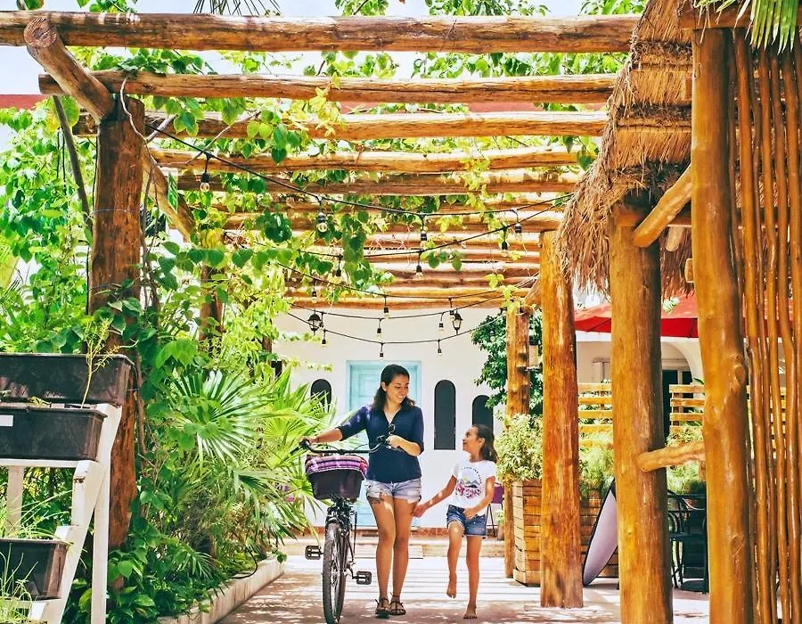 Hotel Villas Colibri Suites & Bungalows-1