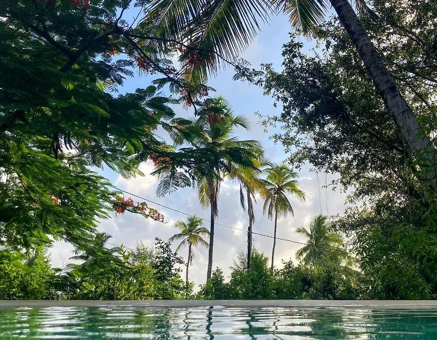 Bellevue Zanzibar-1