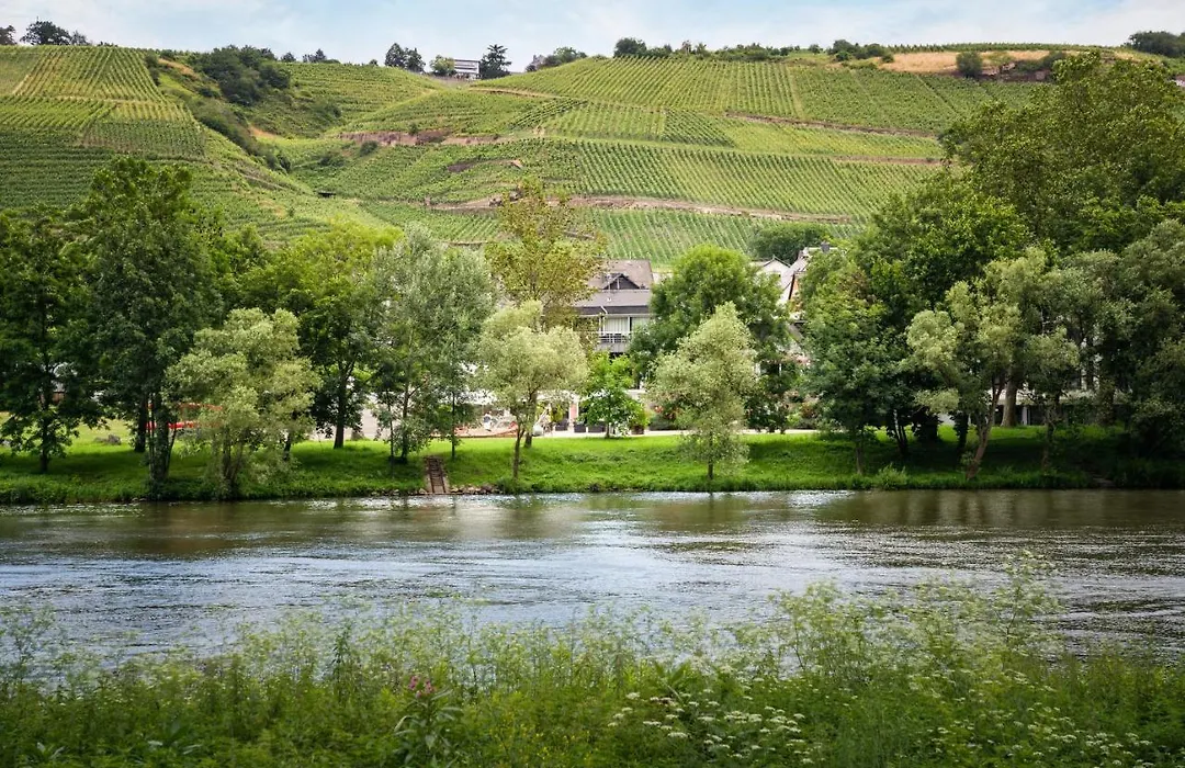 Hotel Moselblick-1
