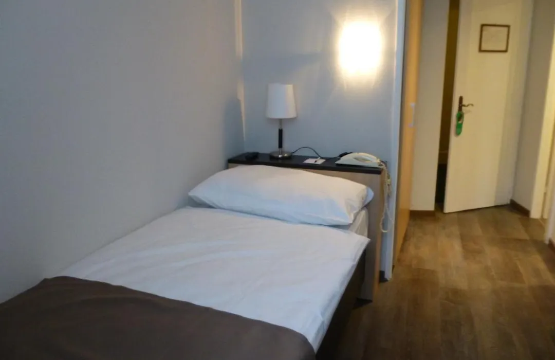 Hotel Des Alpes-1