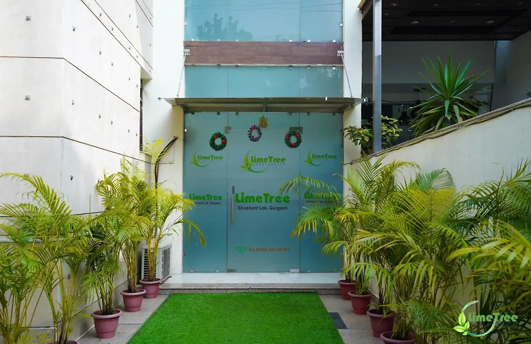 Lime Tree Hotel Sushant Lok Gurgaon Sector 29 Next To Iffco Chowk Metro-1