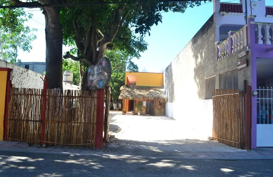 Hotel Don Jacinto-1