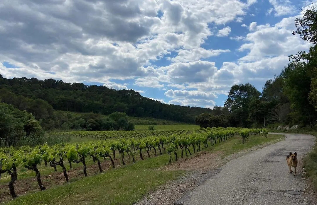 Domaine Le Petit Hameau-1