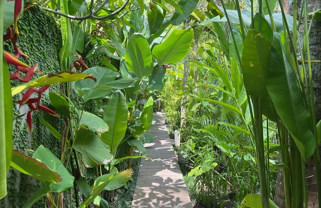 Jati Kuta Lombok-1
