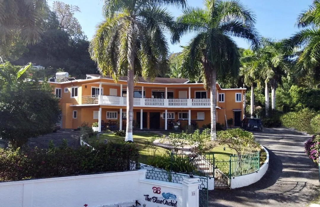 The Blue Orchid B&B-1