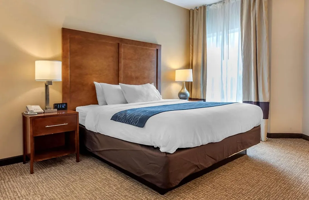 Comfort Inn Apalachin - Binghamton W Route 17-1