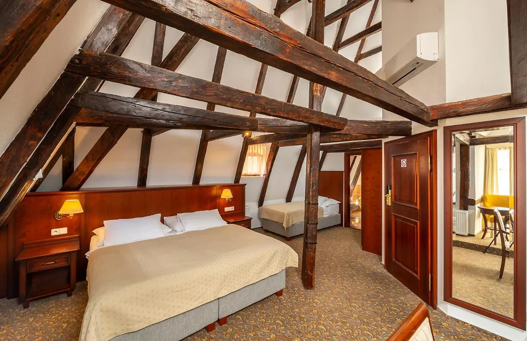Hotel Cerny Slon-1