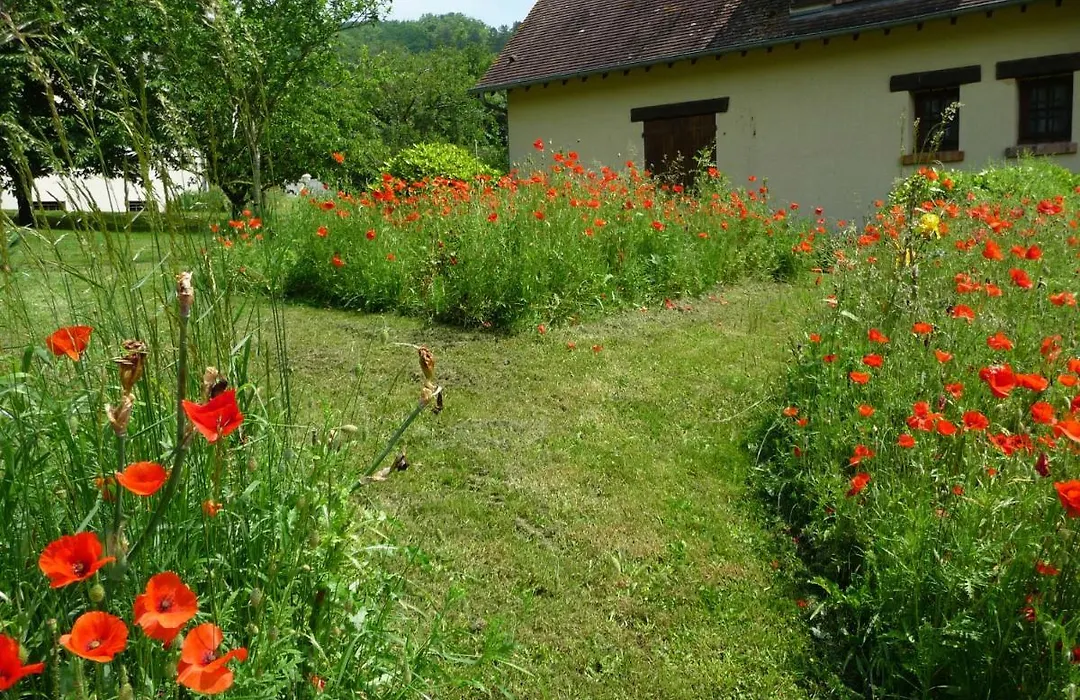Maison D'Hotes Les Coquelicots-1