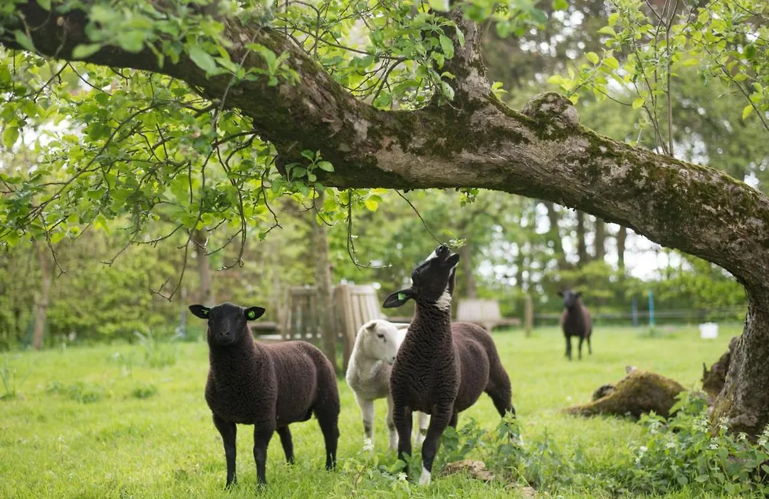 B&B Buitenplaats Natuurlijk Goed-1