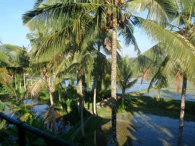 Toko Toko Bungalows-1