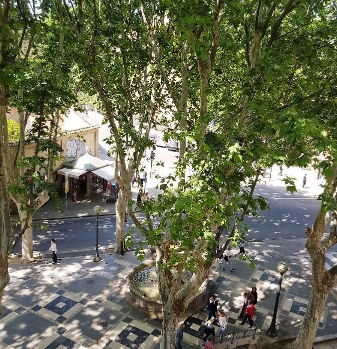 Rambla Palma Center-1