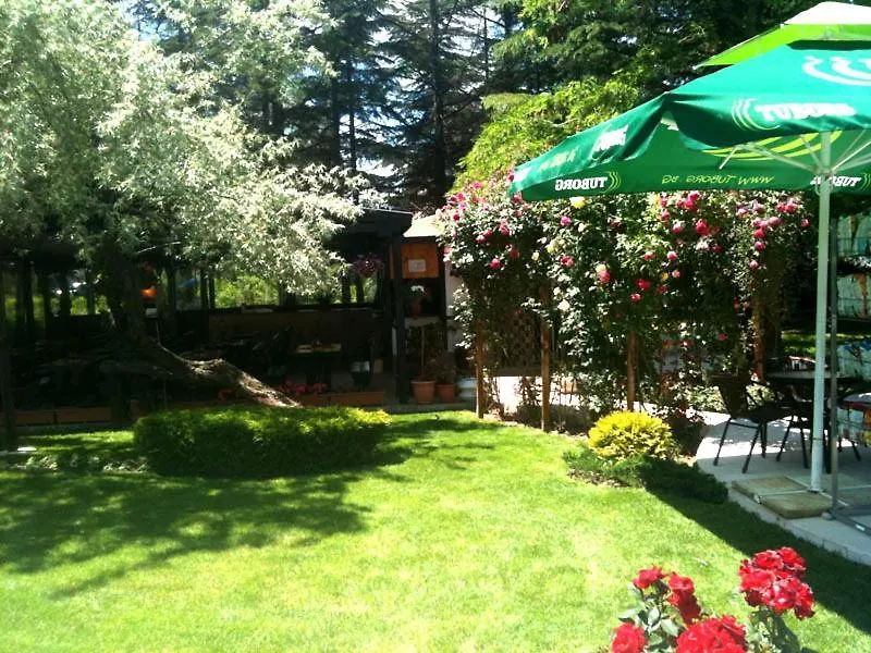 Dunav Hotel-1