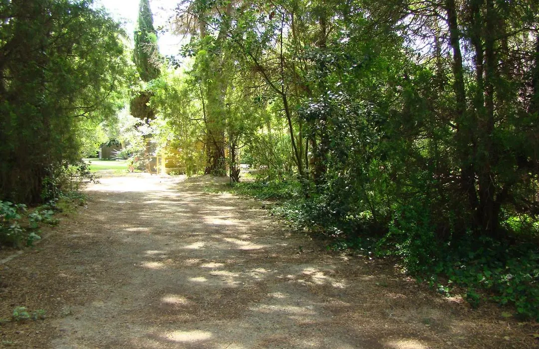 La Villa Saint Andre - Argeles Sur Mer-1