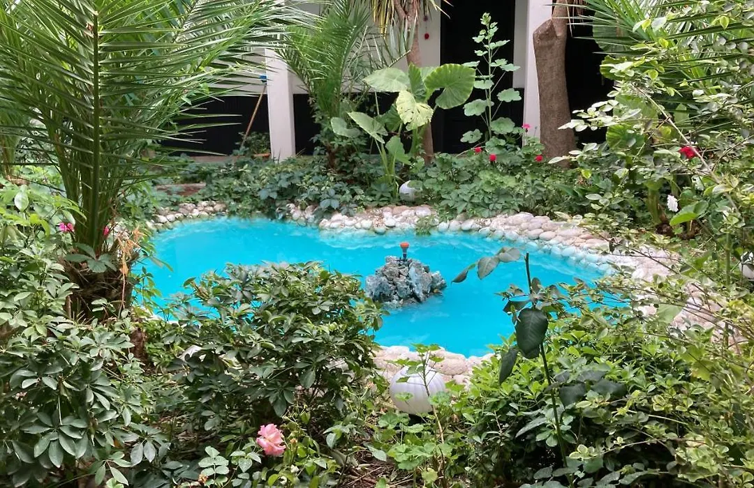 Hotel Dönmez-1