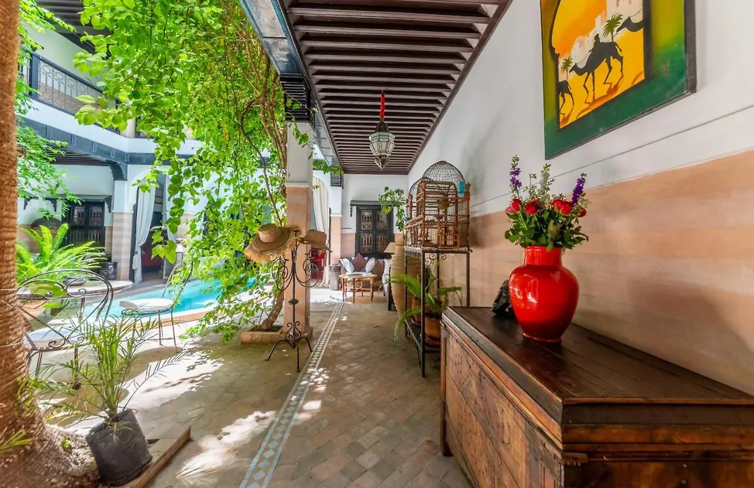 Riad Espoir, Riad de charme en exclusivité dans la médina de Marrakech-1