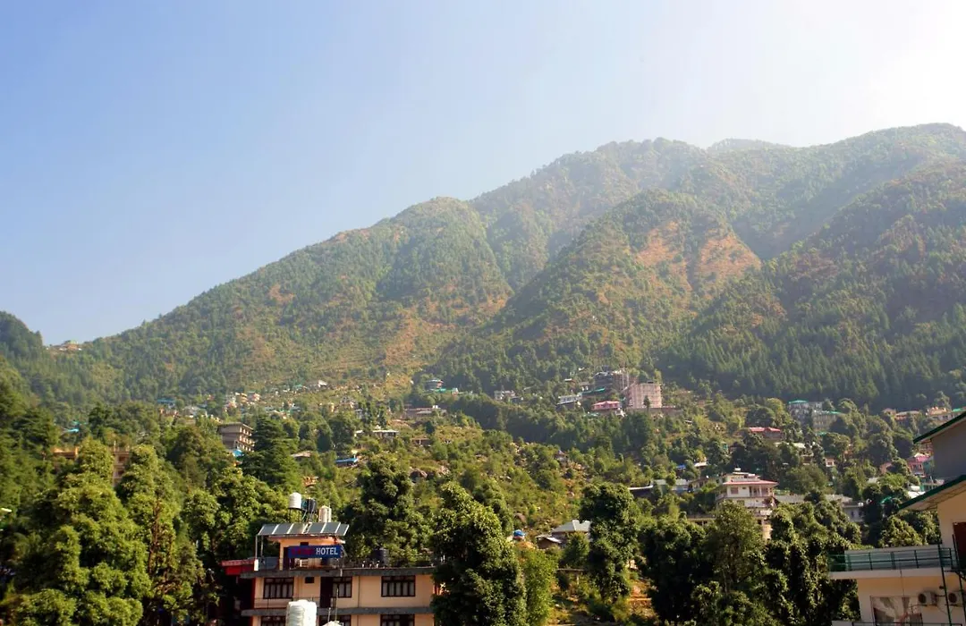 Hotel Shivani International-1