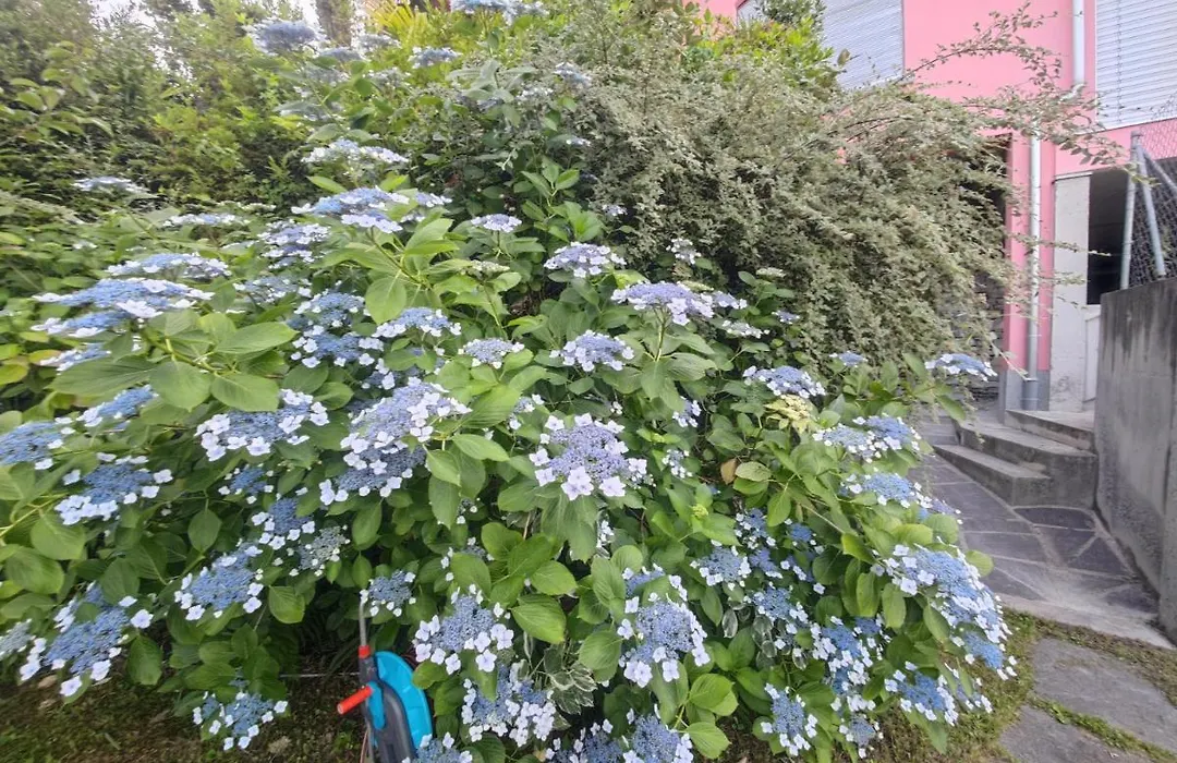 Residence Venus Garden-1