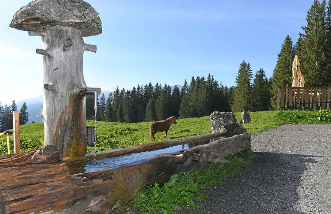 Edelweiß am Öberle-1