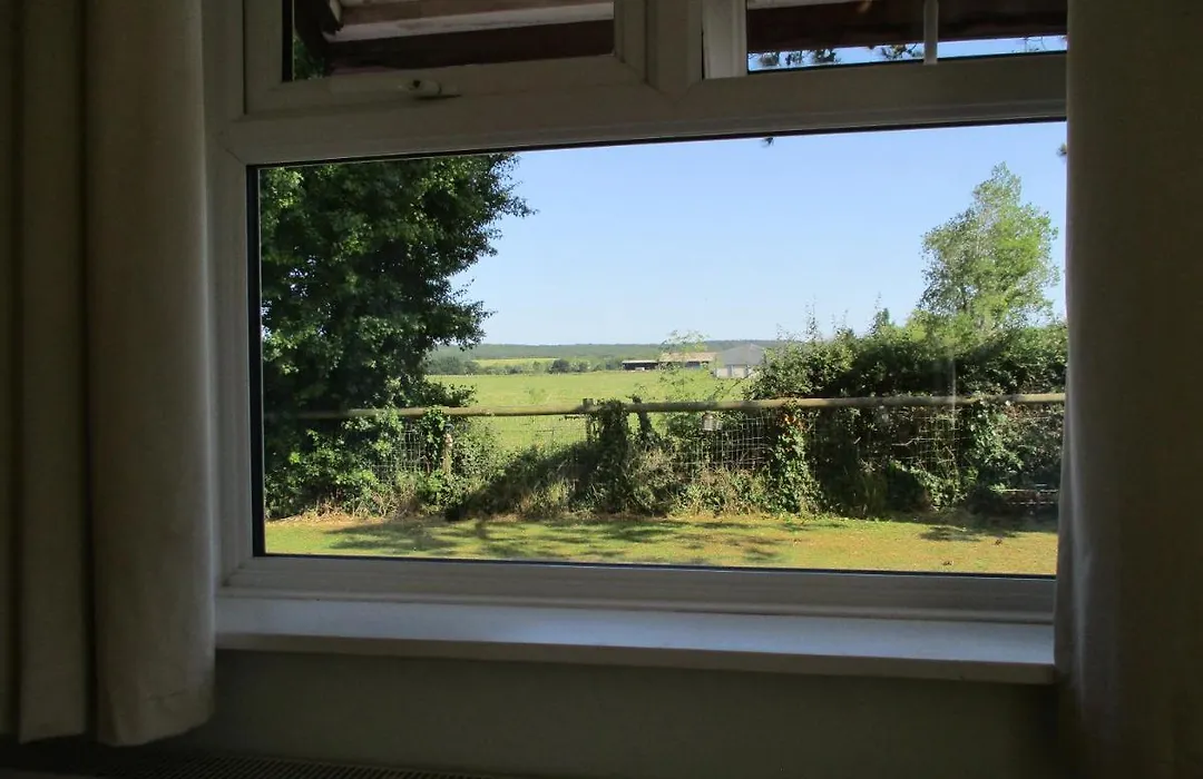 Hillview Bed And Breakfast-1