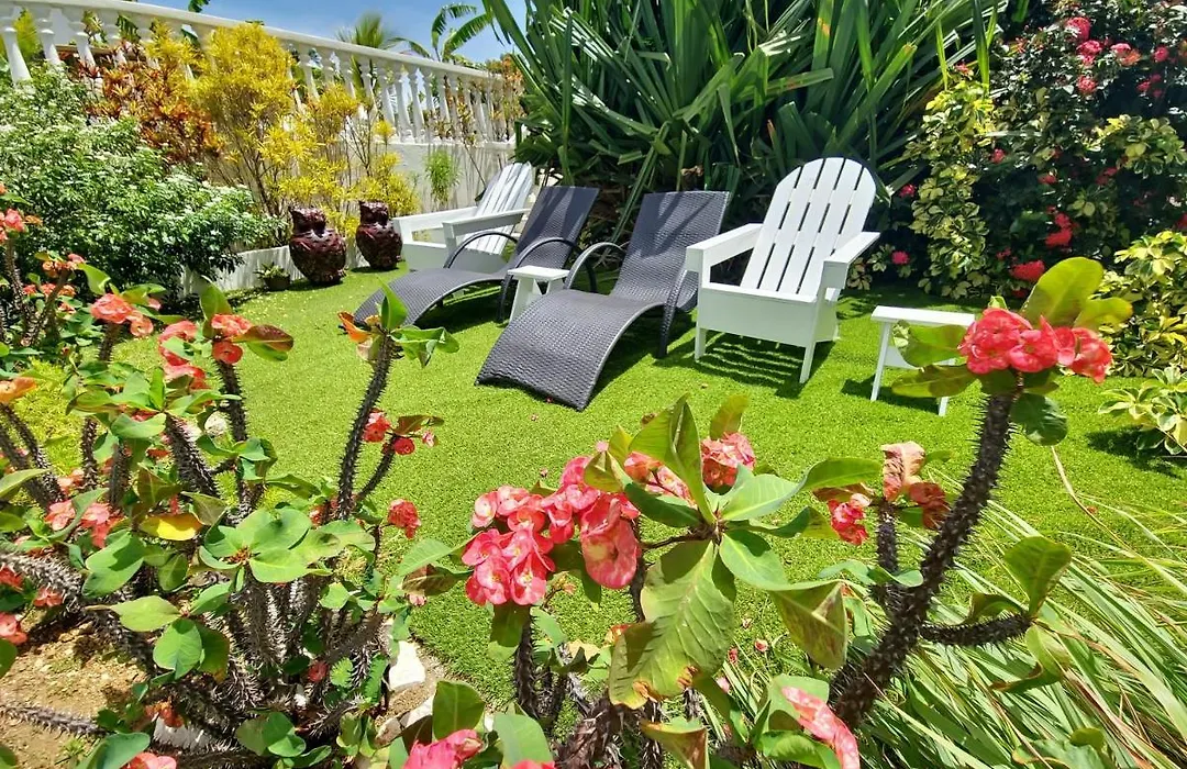 Adonai Hotel Boutique-1