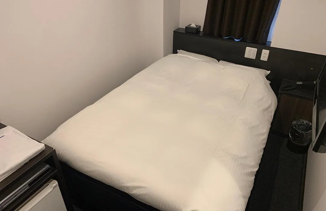 Nagoyaeki Access Hotel-1