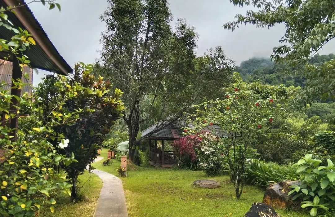 Khao Sok River & Jungle Resort-1