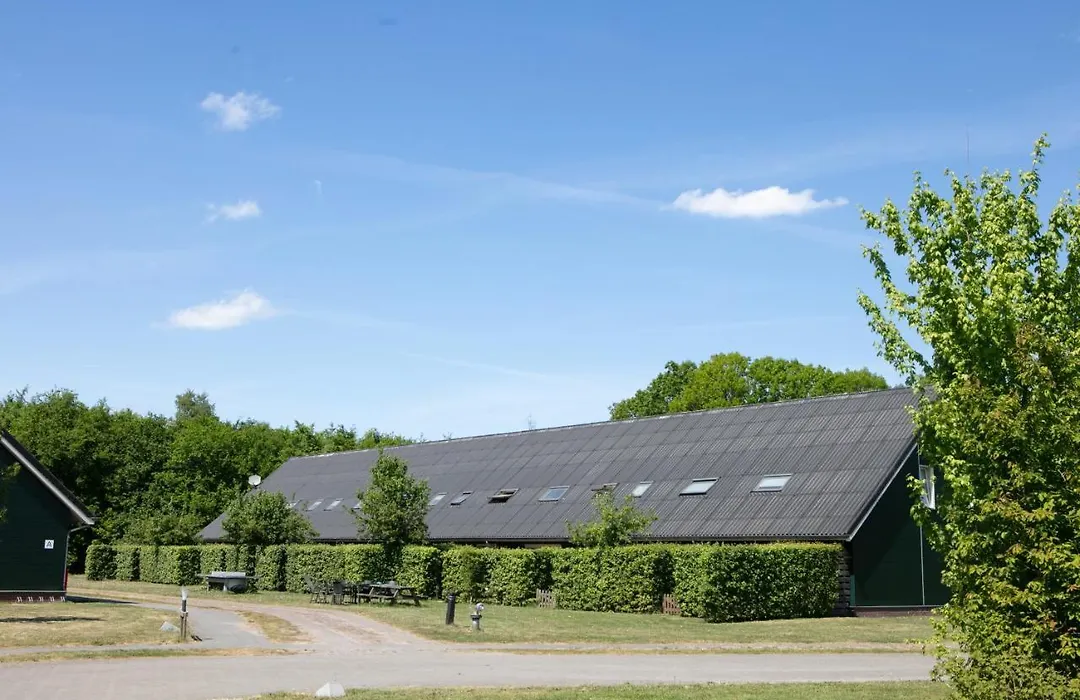 Horsetellerie Rheezerveen-1