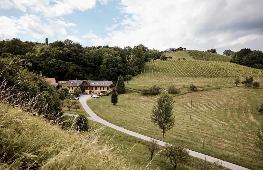 Bio Weingut Matthias Schnabl-1
